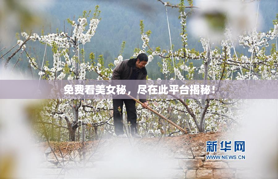 免费看美女秘，尽在此平台揭秘！