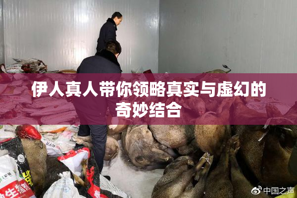 伊人真人带你领略真实与虚幻的奇妙结合