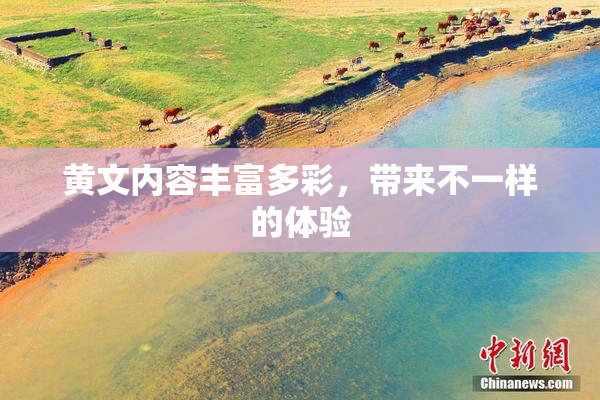 黄文内容丰富多彩，带来不一样的体验