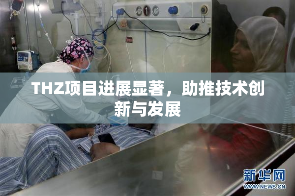 THZ项目进展显著，助推技术创新与发展