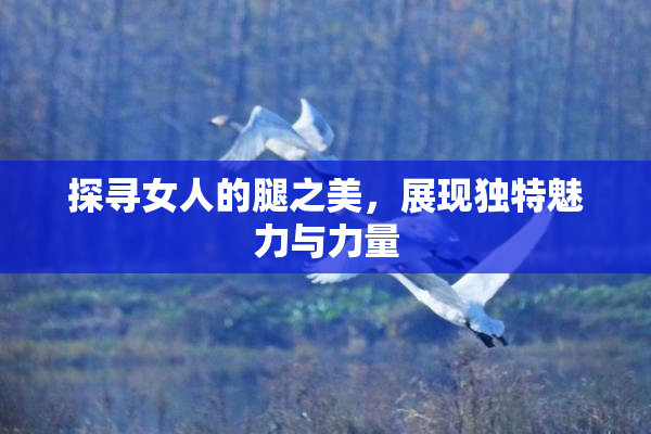 探寻女人的腿之美，展现独特魅力与力量