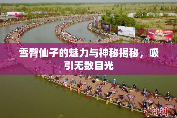 雪臀仙子的魅力与神秘揭秘，吸引无数目光
