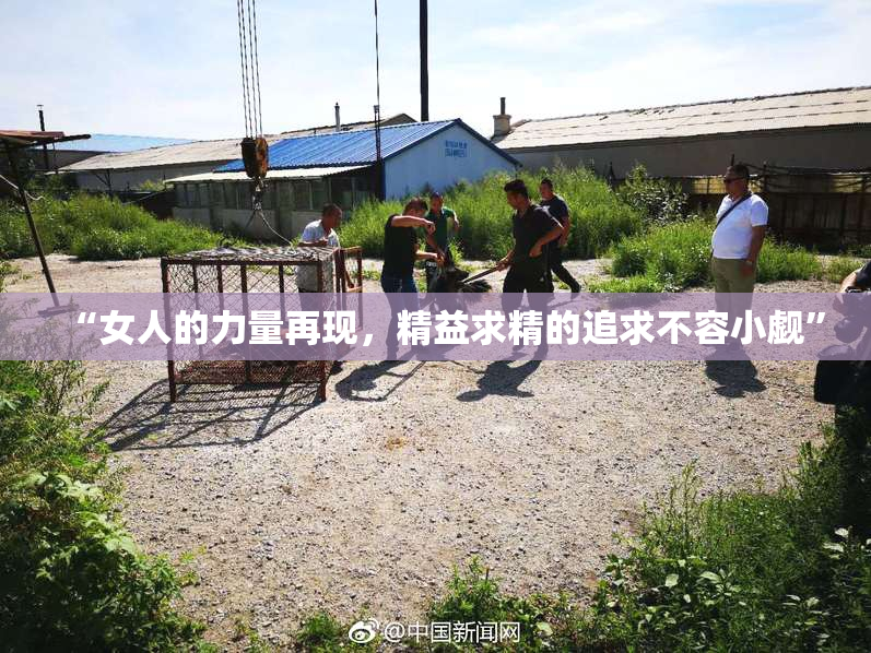 “女人的力量再现，精益求精的追求不容小觑”