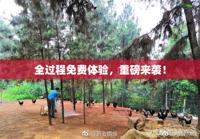 全过程免费体验，重磅来袭！