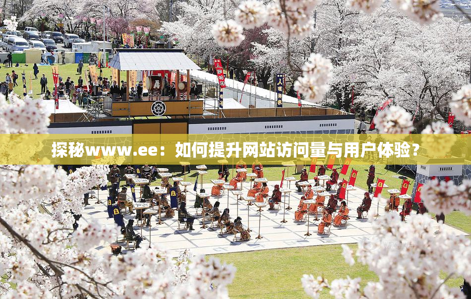 探秘www.ee：如何提升网站访问量与用户体验？