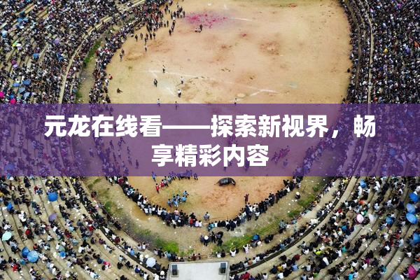元龙在线看——探索新视界，畅享精彩内容