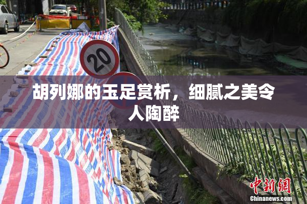 胡列娜的玉足赏析，细腻之美令人陶醉