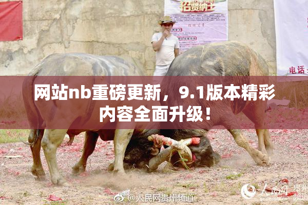 网站nb重磅更新，9.1版本精彩内容全面升级！