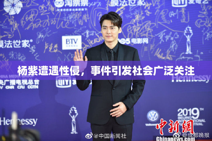 杨紫遭遇性侵，事件引发社会广泛关注