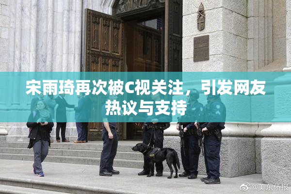 宋雨琦再次被C视关注，引发网友热议与支持