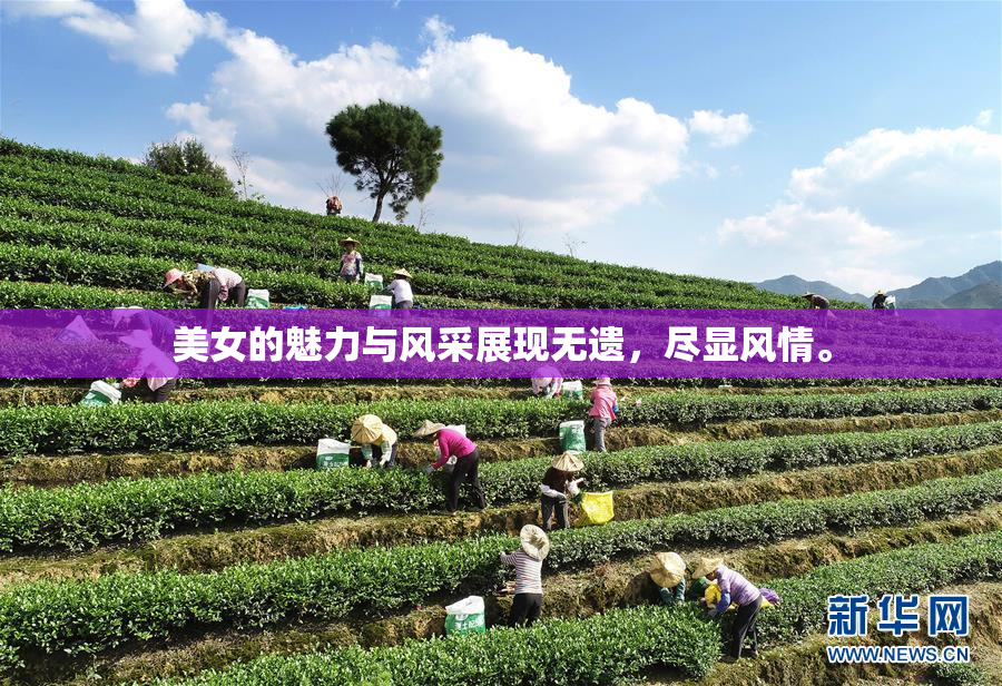 美女的魅力与风采展现无遗，尽显风情。