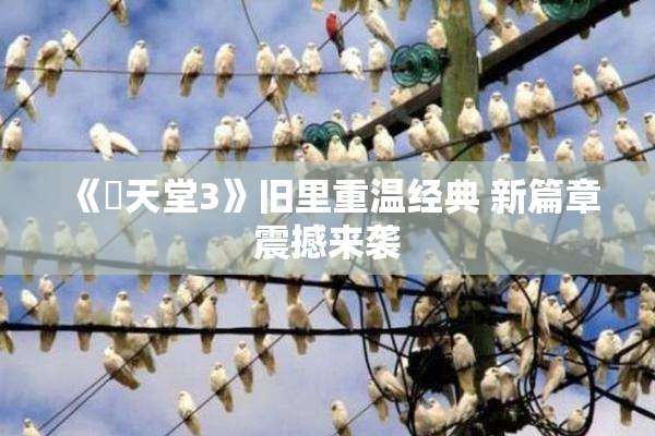 《妺天堂3》旧里重温经典 新篇章震撼来袭