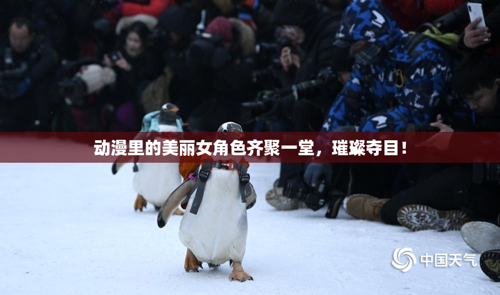 动漫里的美丽女角色齐聚一堂，璀璨夺目！