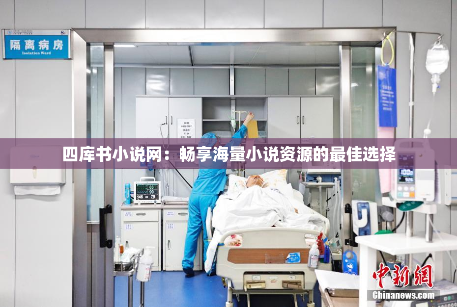 四库书小说网：畅享海量小说资源的最佳选择