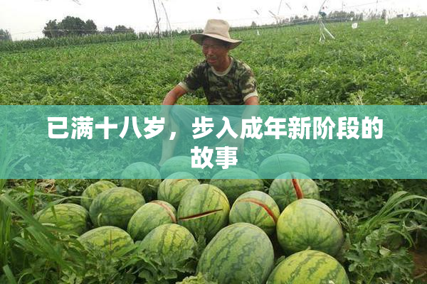 已满十八岁，步入成年新阶段的故事