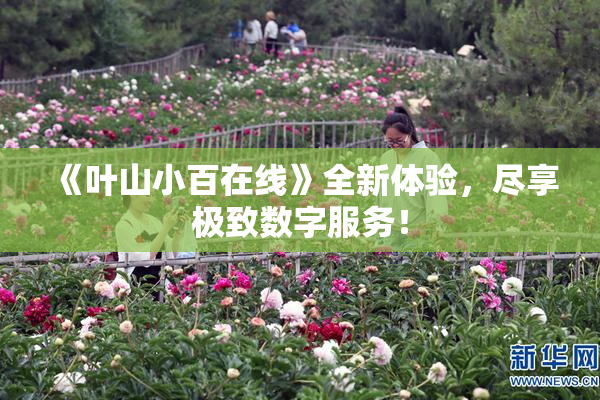 《叶山小百在线》全新体验，尽享极致数字服务！