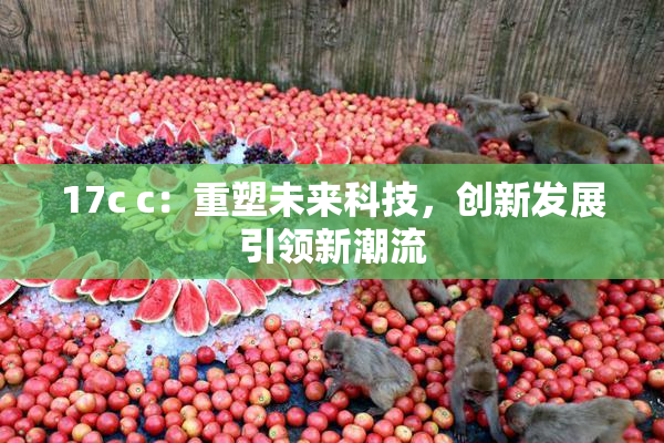 17c c：重塑未来科技，创新发展引领新潮流