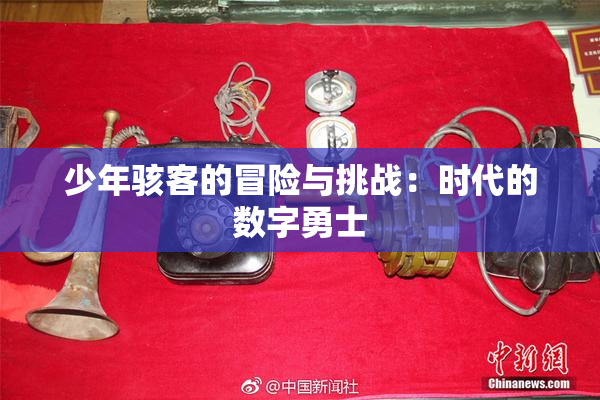 少年骇客的冒险与挑战：时代的数字勇士