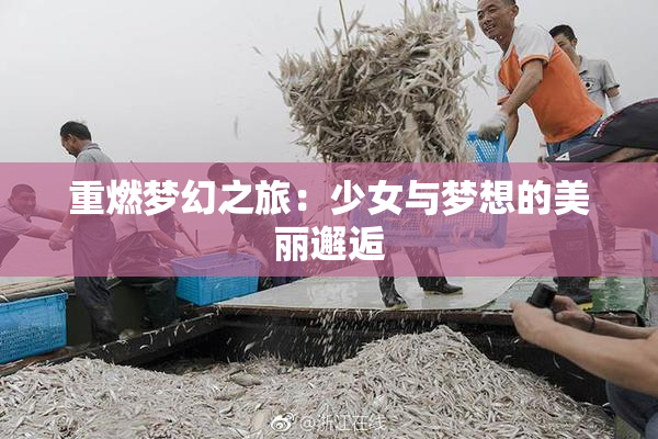 重燃梦幻之旅：少女与梦想的美丽邂逅