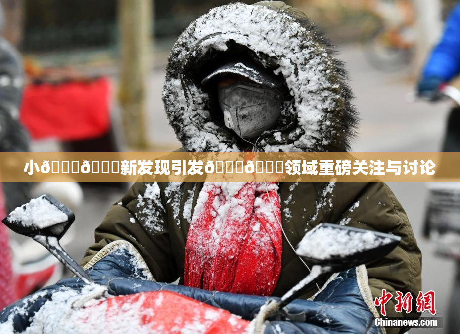 小🐔🐔新发现引发🍑🔞领域重磅关注与讨论