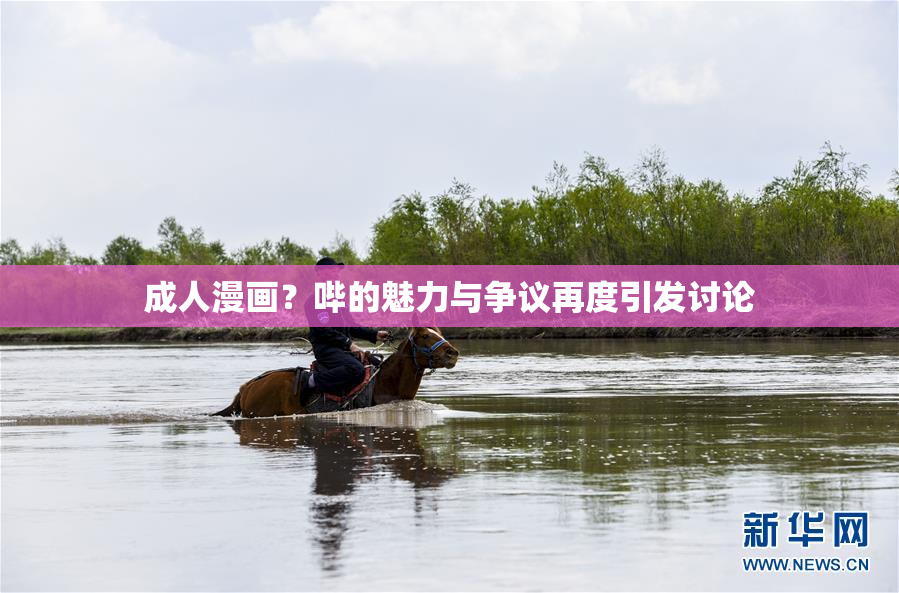 成人漫画？哔的魅力与争议再度引发讨论