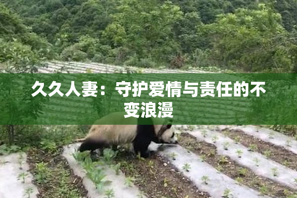 久久人妻：守护爱情与责任的不变浪漫