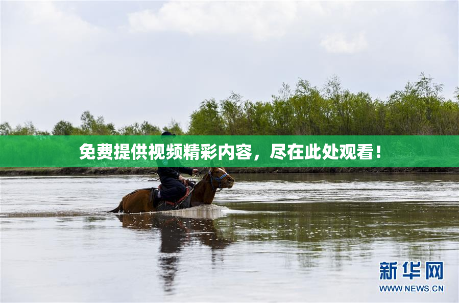 免费提供视频精彩内容，尽在此处观看！