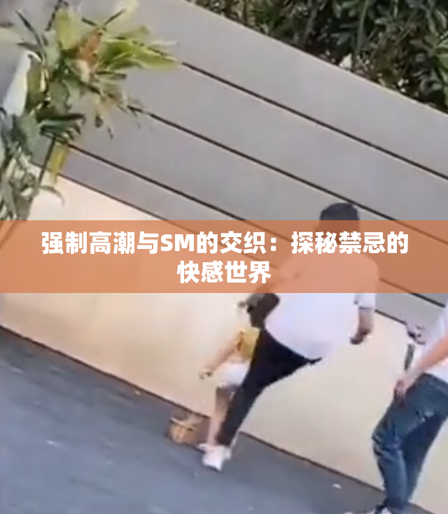 强制高潮与SM的交织：探秘禁忌的快感世界
