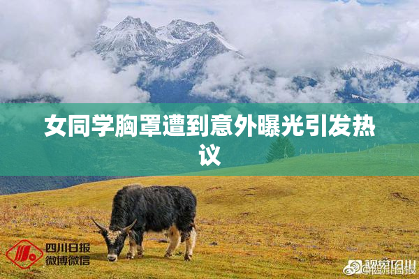 女同学胸罩遭到意外曝光引发热议