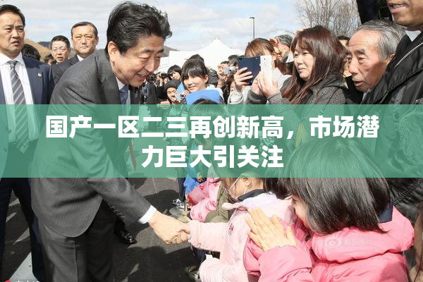 国产一区二三再创新高，市场潜力巨大引关注