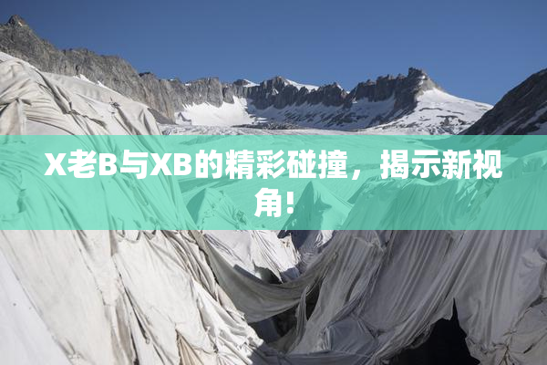 X老B与XB的精彩碰撞，揭示新视角!