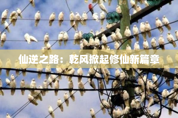 仙逆之路：乾风掀起修仙新篇章
