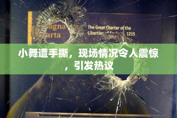 小舞遭手撕，现场情况令人震惊，引发热议