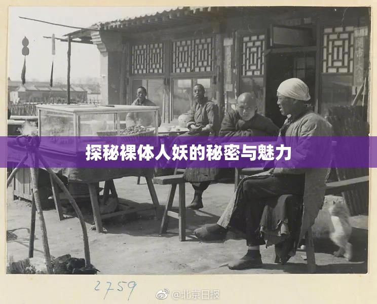 探秘裸体人妖的秘密与魅力