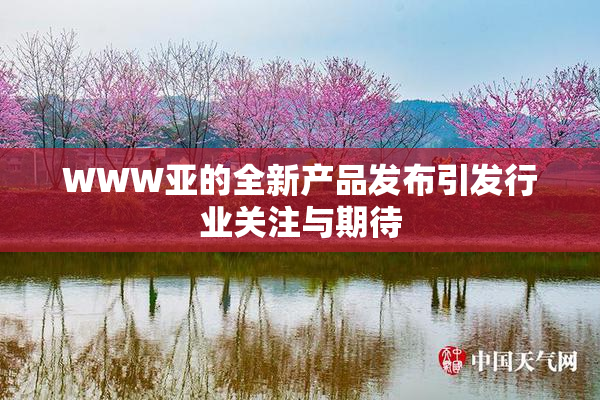 WWW亚的全新产品发布引发行业关注与期待