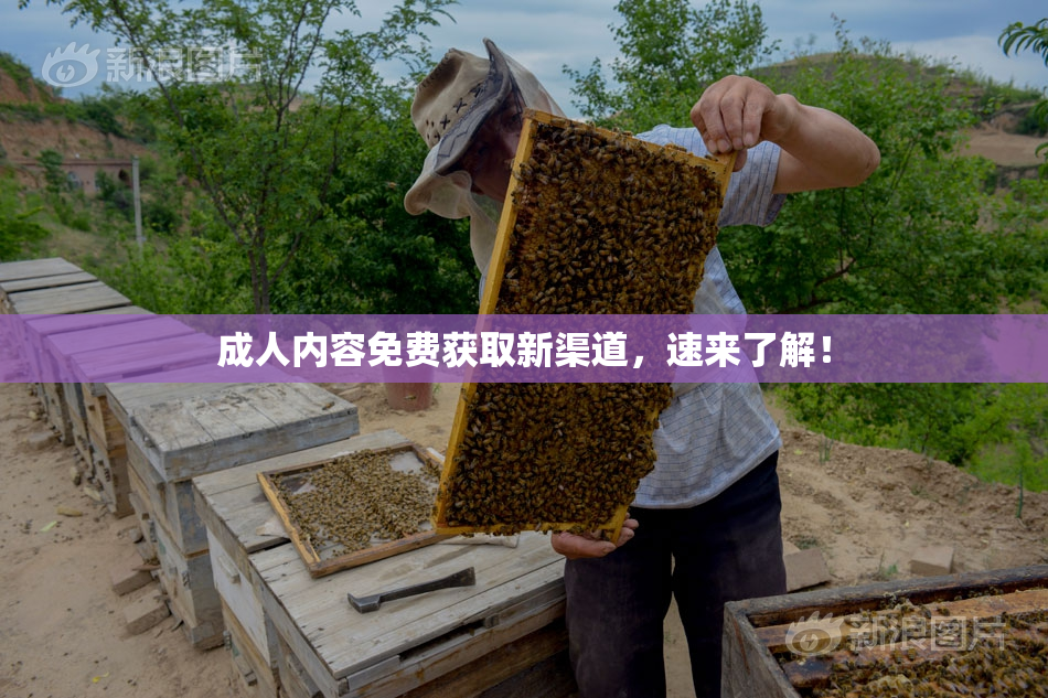 成人内容免费获取新渠道，速来了解！