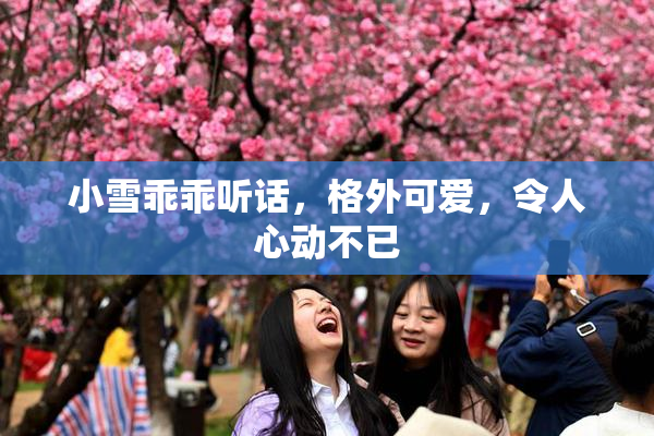 小雪乖乖听话，格外可爱，令人心动不已