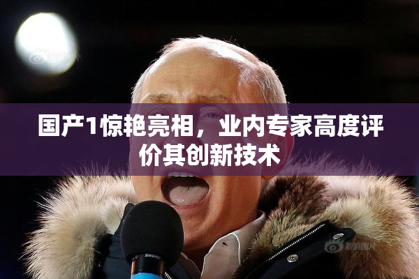 国产1惊艳亮相，业内专家高度评价其创新技术