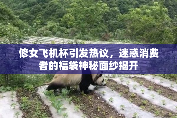 修女飞机杯引发热议，迷惑消费者的福袋神秘面纱揭开