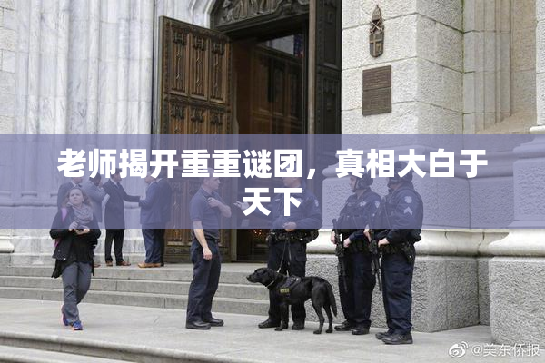 老师揭开重重谜团，真相大白于天下