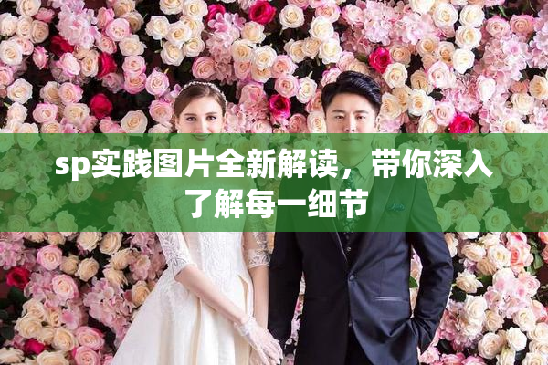 sp实践图片全新解读，带你深入了解每一细节