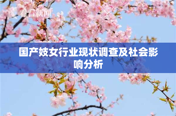 国产妓女行业现状调查及社会影响分析