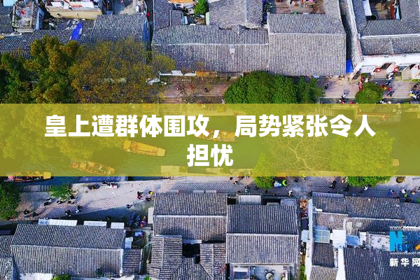 皇上遭群体围攻，局势紧张令人担忧