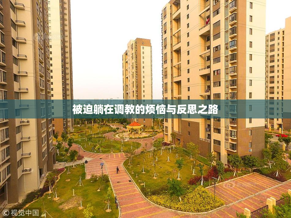 被迫躺在调教的烦恼与反思之路