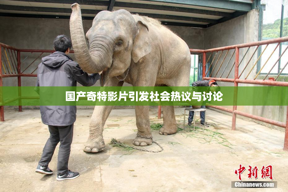 国产奇特影片引发社会热议与讨论