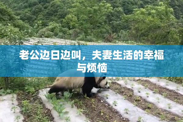 老公边日边叫，夫妻生活的幸福与烦恼