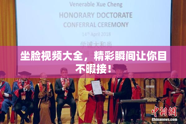 坐脸视频大全，精彩瞬间让你目不暇接！