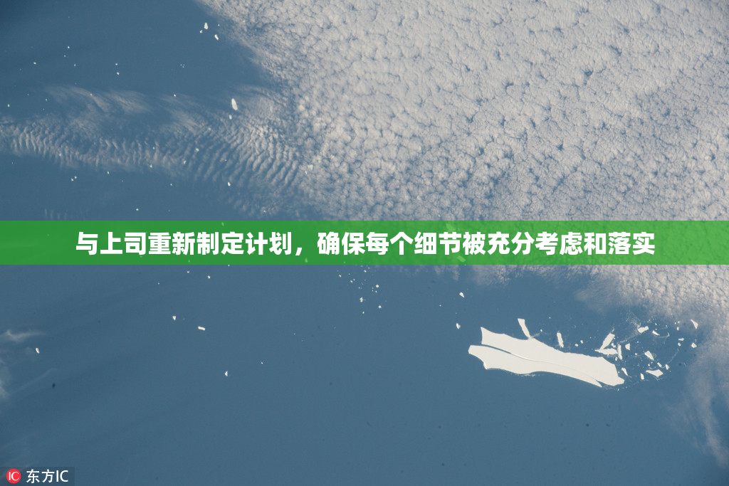 与上司重新制定计划，确保每个细节被充分考虑和落实