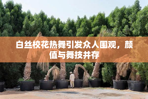 白丝校花热舞引发众人围观，颜值与舞技并存