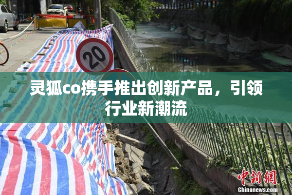 灵狐co携手推出创新产品，引领行业新潮流
